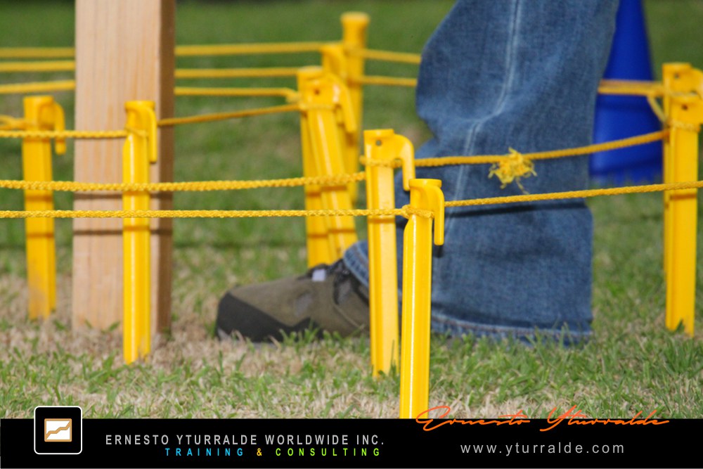 Talleres de Cuerdas | Taller de Trabajo en Equipo para Empresas